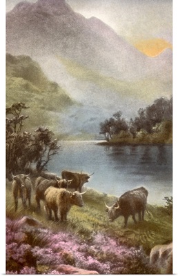 Scene Of Countryside In Scotland