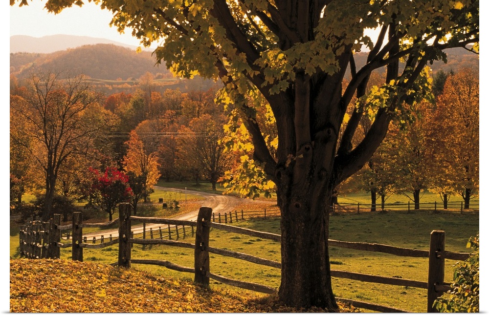 Scenic ranch in autumn , Woodstock , Vermont