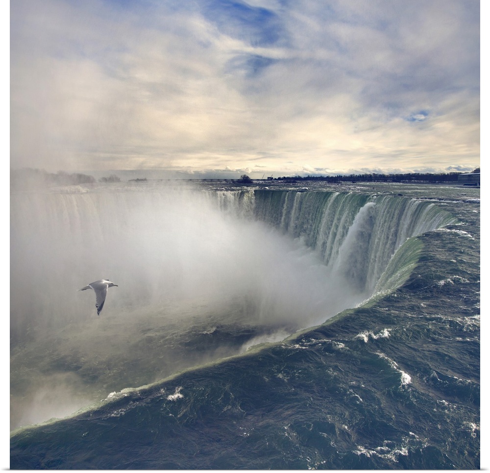 Seagull flying over misty Horseshoe Falls in winter time.