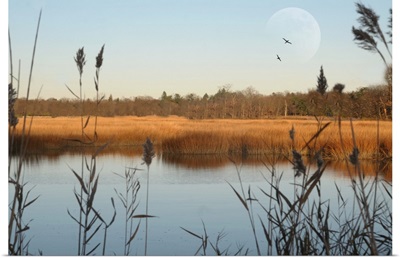 Seascape of marshlands in northeast of United States.