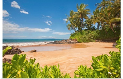Secluded Sandy Beach On Maui