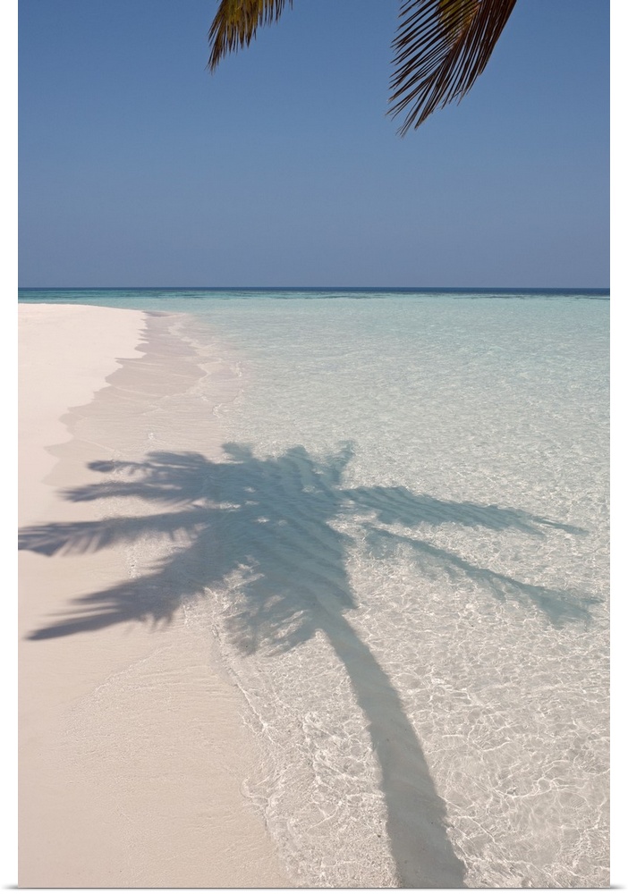 The shadow of a large palm tree is photographed as it's shown on the clear ocean water and white sand.