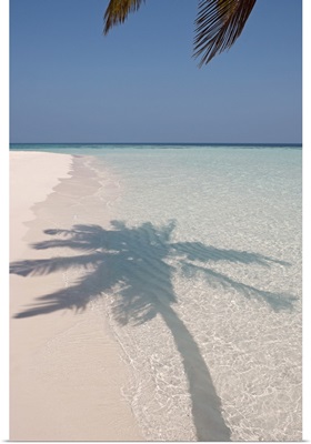 Shadow of a palm tree on a deserted island beach