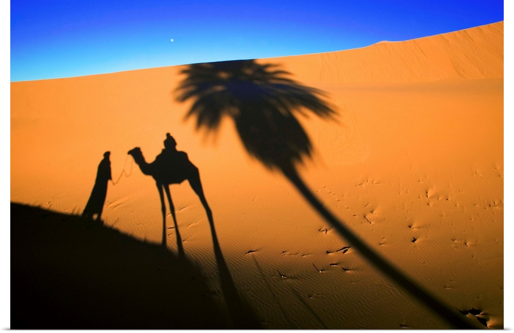 Shadows cast by a tourist camel trek in the sand dunes of Erg Chebbi area of the Sahara desert.