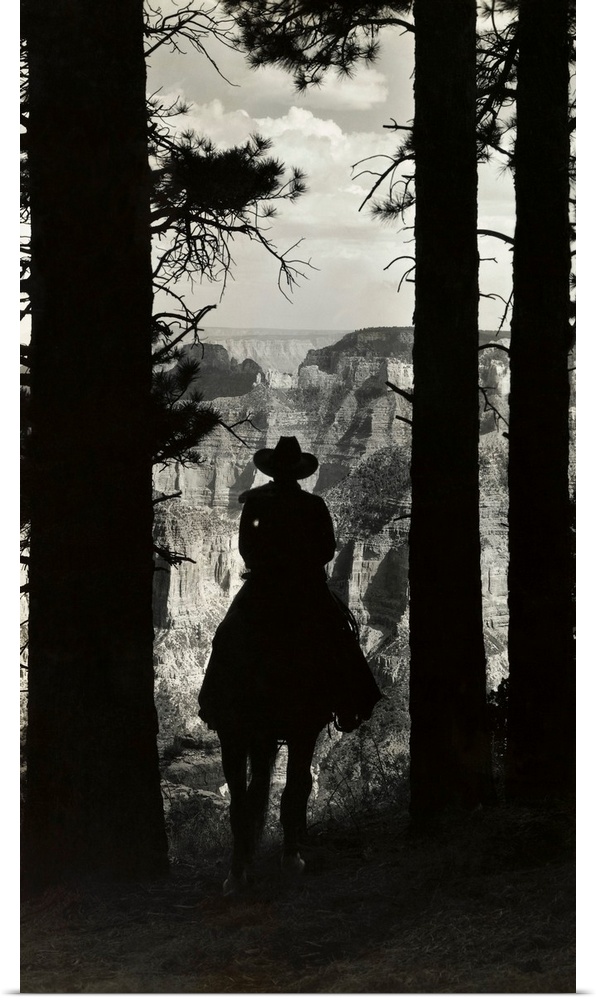 Here is a trail's end for a lonesome cowboy, framed between pine trees on the edge of the Kaibab Forest on the North Rim o...