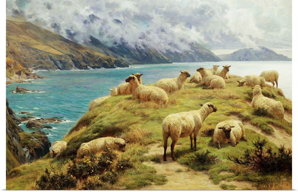 Sheep Reposing, Dalby Bay, Isle Of Man By Basil Bradley