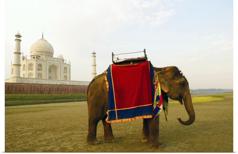 Side profile of an elephant standing near a mausoleum, Taj Mahal, Agra, Uttar Pradesh, India