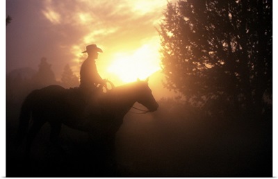 Silhouette Of Cowboy On A Horse