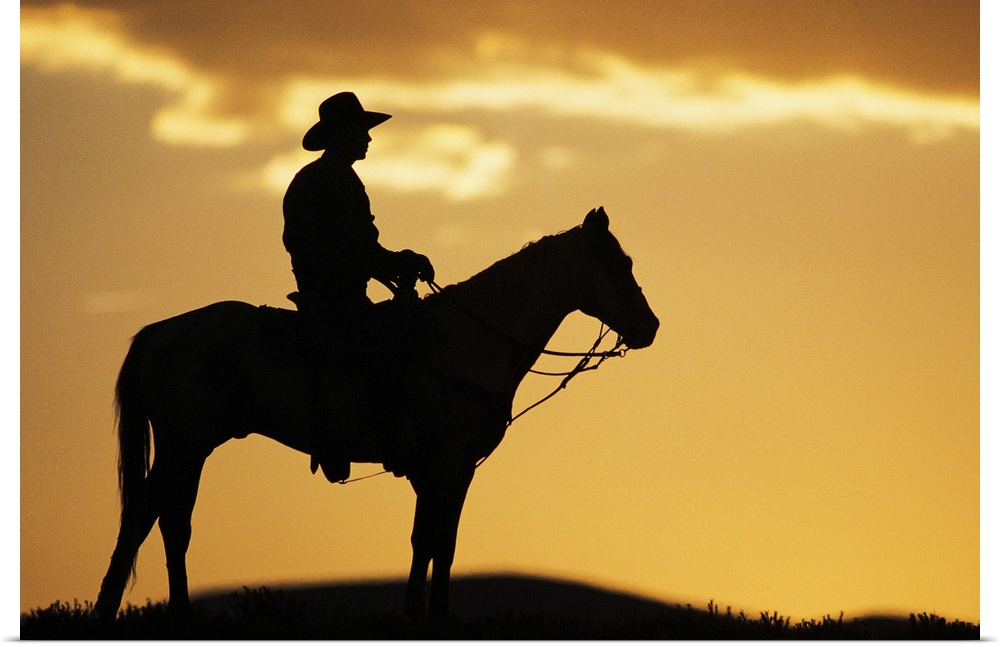 Silhouette of cowboy on horseback at sunset or sunrise