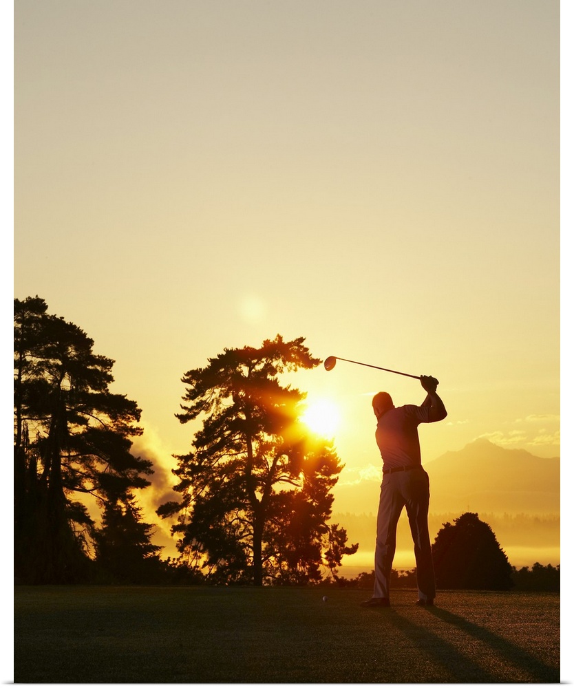 Big, vertical photograph of the setting sun behind trees on a golf course.  The silhouette of a golfer swinging the club i...