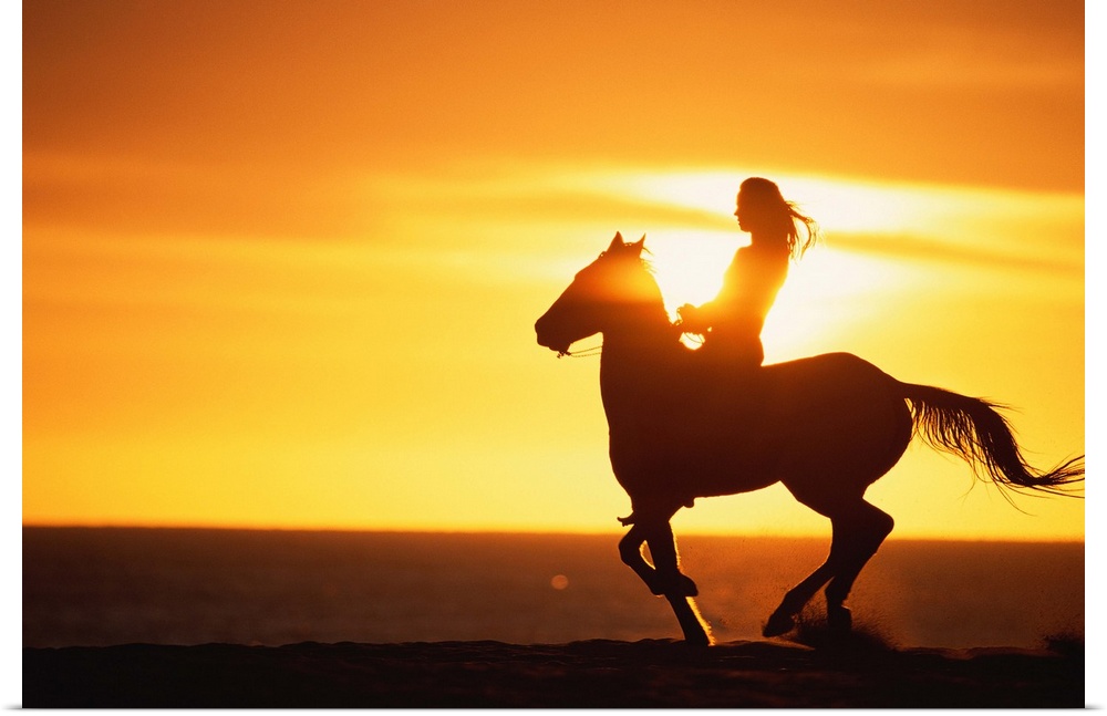 Big photo on canvas of a woman riding on a horse silhouetted against a bright setting sun.