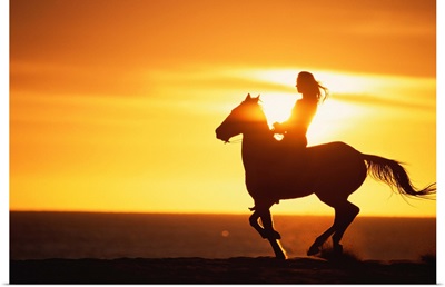 Silhouette of woman riding horse at sunset