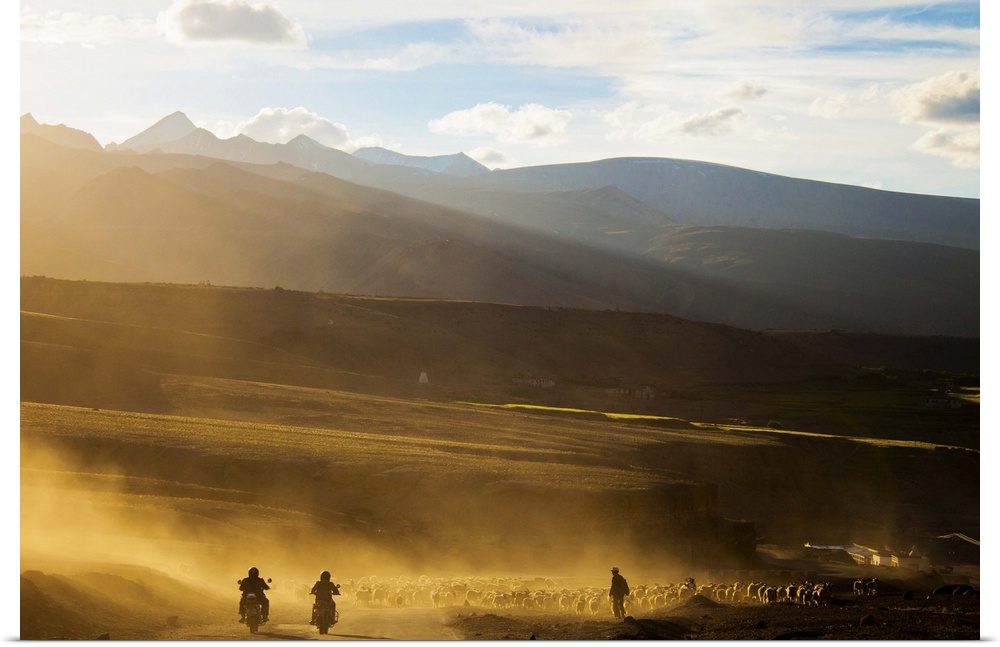 Riders and shepherd on road, Ladakh, India.