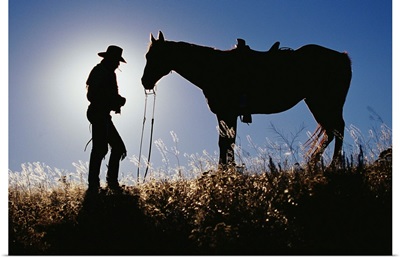 Silhouettes Of Cowboy And Horse
