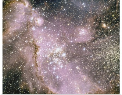 Small Magellanic Cloud, a satellite galaxy of Earth's Milky Way.