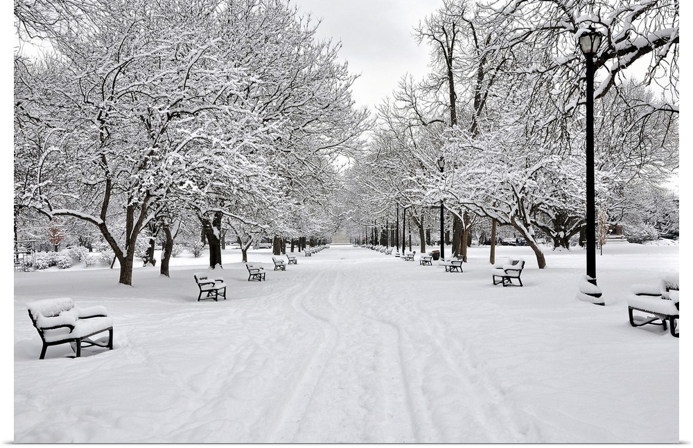 A horizontal black and white photo on canvas of a snowy park with benches and snow covered trees lining both sides of a path.