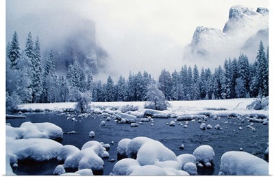 Snow covered mountain peaks and trees, Yosemite National Park