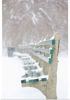 Snowing on park benches, Boston, Massachusetts