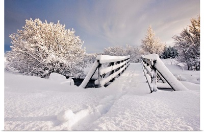 Snowy bridge at winter with frozen trees in Iceland.