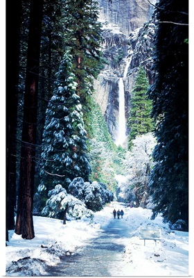 Snowy scene, Yosemite National Park, California