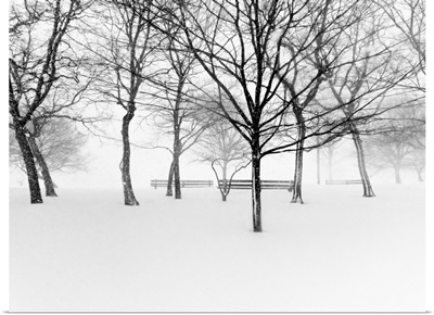 Snowy trees and park benches in park.