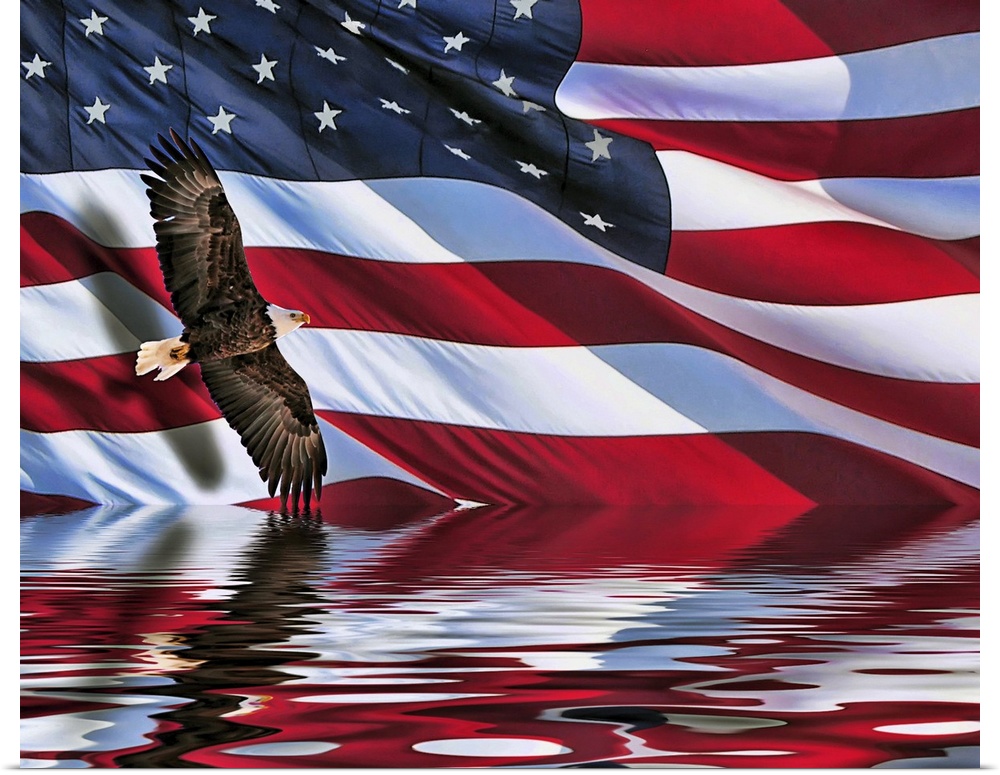 A composite of two photos. One of a bald eagle, the other of a large American flag. Photos composited and then flood filte...