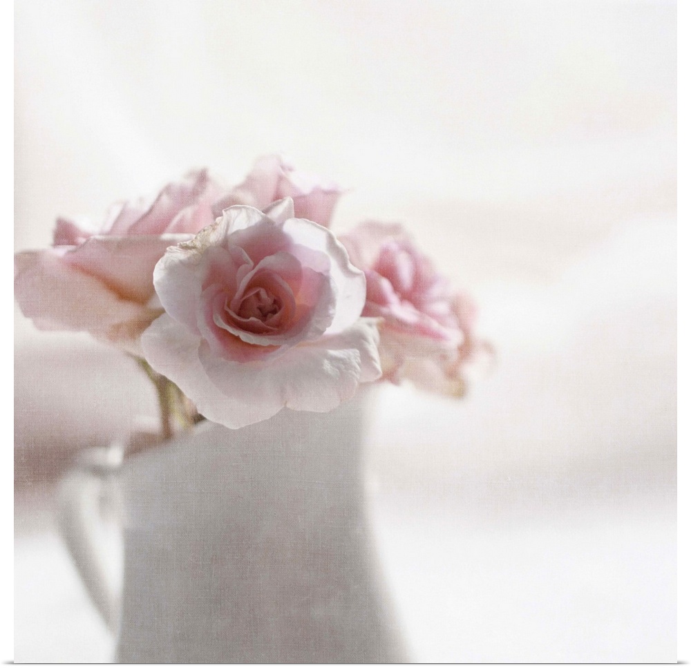 Soft pink roses in white jug.Softly textured.