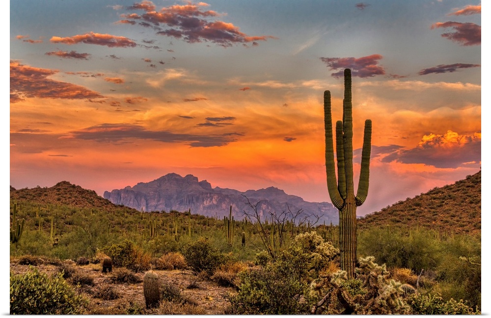 Sunset in the Sonoran Desert near Phoenix, Arizona.