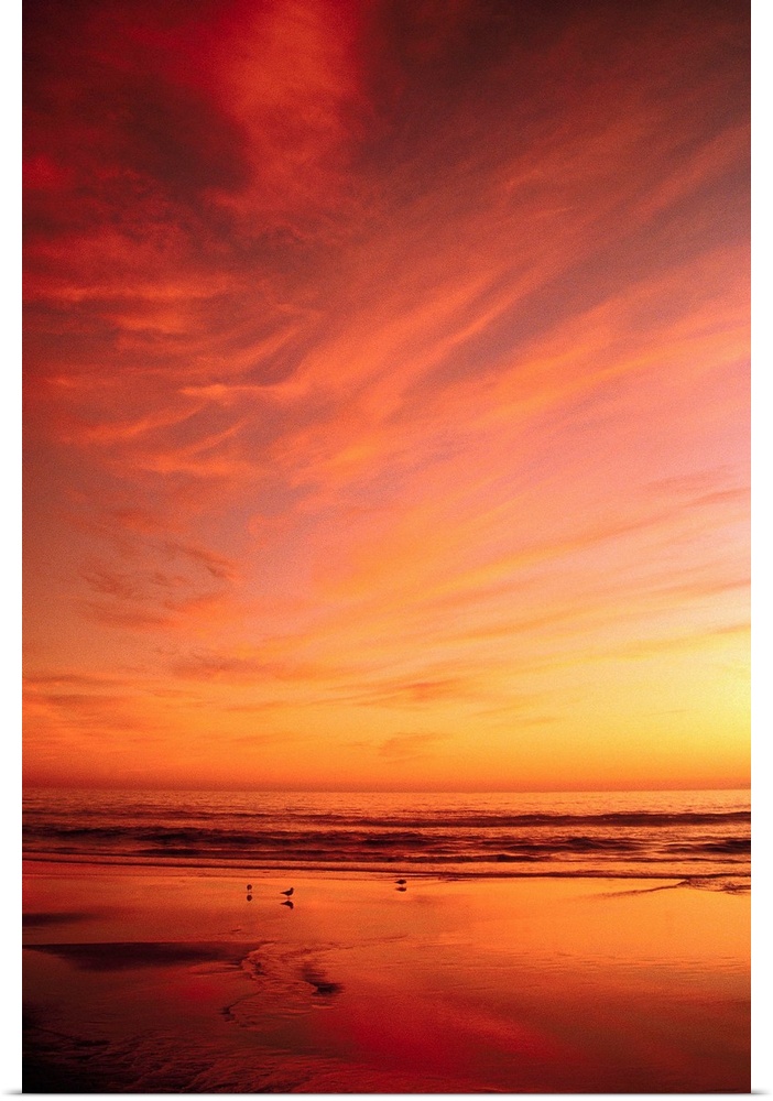 Southern California Sunset At Beach