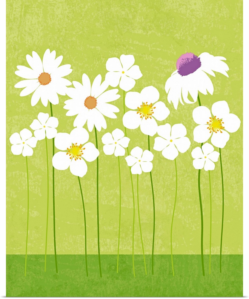 Graphic Spring Flowers poster illustration