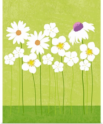 Spring Flowers graphic poster