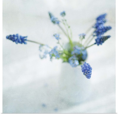 Spring muscari and forget-me-not flowers in white jug.