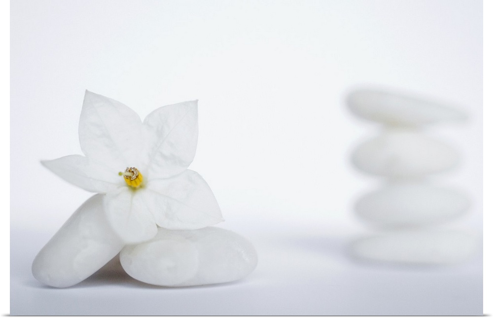 Two soft white stones are laid onto each other with a delicate white flower on top of them. A pile of four stones is shown...