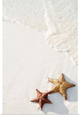 Starfish on tropical beach.