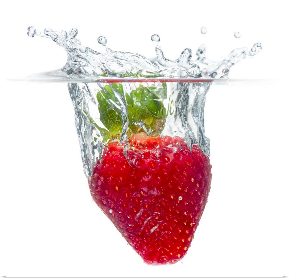 Square, large photograph of a juicy, ripe, organic strawberry splashing as it becomes submerged in clean, clear water on a...