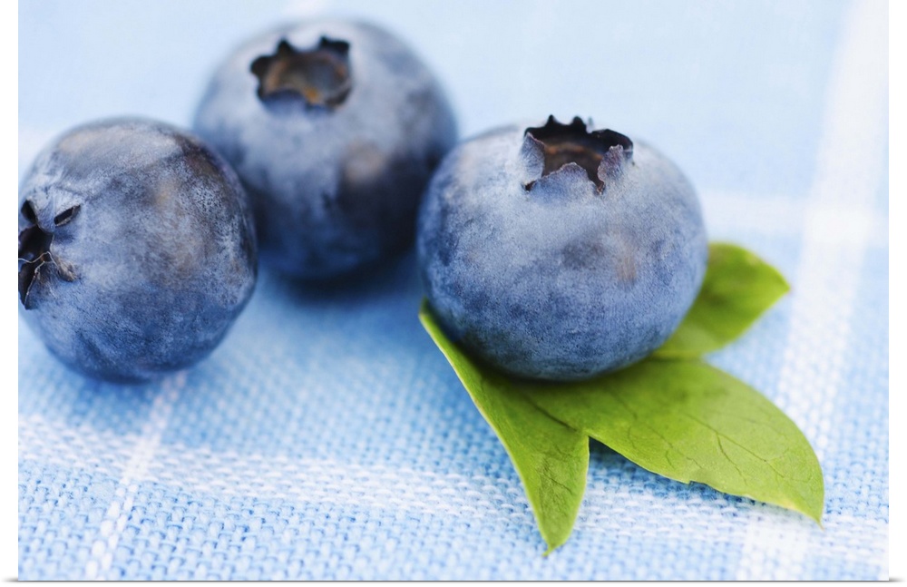 Studio shot of blueberries
