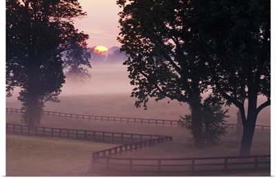 Sunrise on horse farm, Versailles, Kentucky, USA