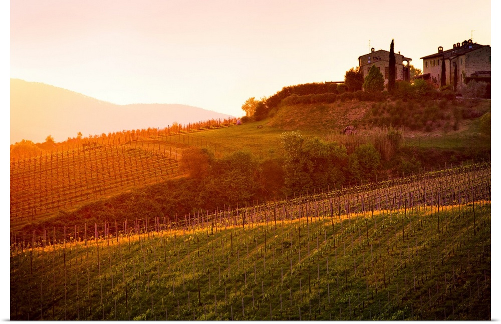 The setting sun shines its last rays over a picturesque villa and its fields in this photo of Tuscanny, Italy. Warm, relax...