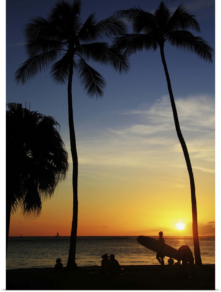 Silhouette surfboards and palm trees at Waikiki Beach, Hawaii.