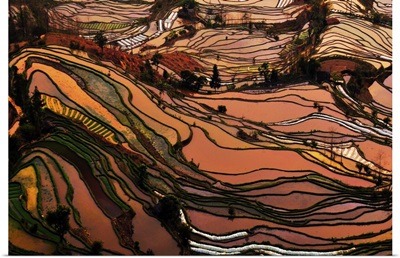 Terrace field in southwest China Yunnan Province.