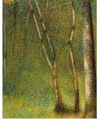The Forest At Pontaubert By Georges Seurat