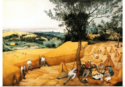 The Harvesters By Pieter Brueghel The Elder