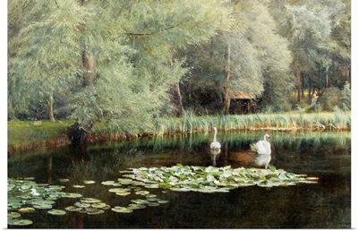 The Lily Pond By Edward R. Taylor