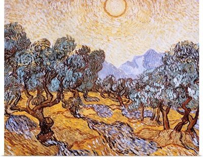 The Olive Trees By Vincent Van Gogh