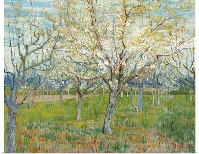 The Pink Orchard