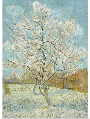 The Pink Peach Tree By Vincent Van Gogh