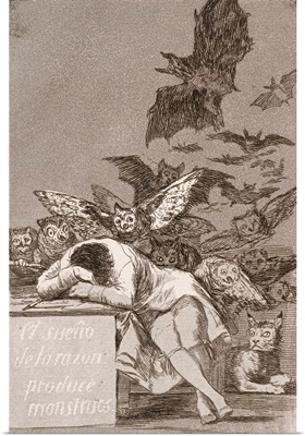 The Sleep Of Reason Produces Monsters (No. 43), From Los Caprichos