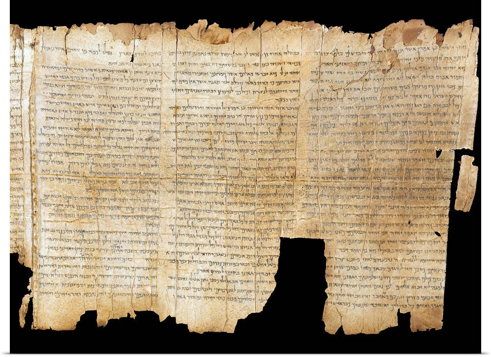 The Temple Scroll, from the Dead Sea Scrolls found at Qumran, scroll number 11Q20, late 1st century BC - early 1st century...