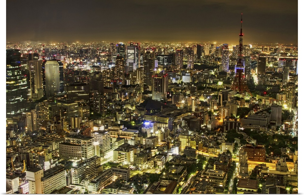 Horizontal, big aerial photograph of the city of Tokyo, brightly lit at night.
