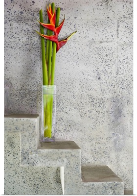 Tropical flowers on stone stairs